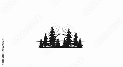 Silhouette of pine trees with rising sun over water
