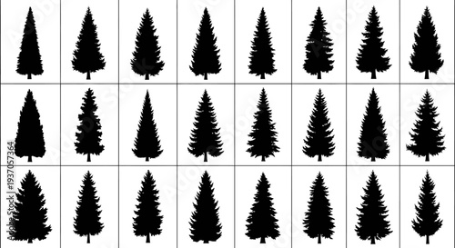 Collection of various pine tree silhouettes on white background for design and decoration