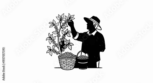 Person wearing a hat harvesting berries from a bush into baskets