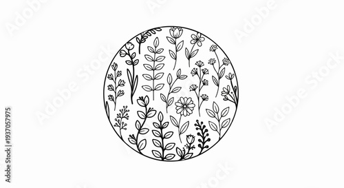 Delicate hand-drawn flora fills a circular frame