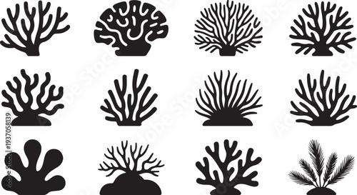 Black and white of various coral shapes and structures