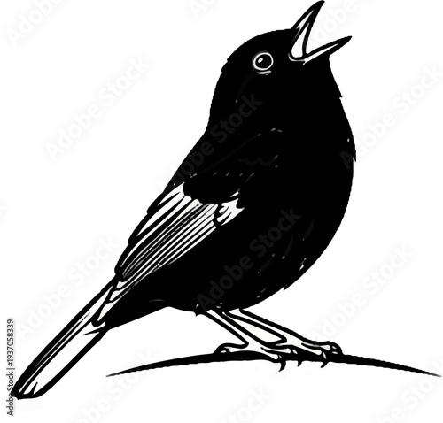 A black bird with open beak and white wing markings stands