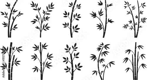 Ten black bamboo plant on white background plants nature