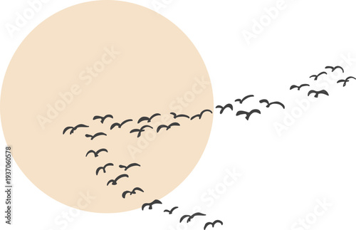 하늘을 날아가는 새 무리