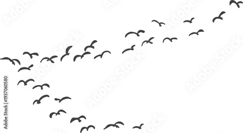 하늘을 날고 있는 새무리