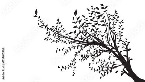 Tree branch with leaves silhouette in black and white, dynamic natural design featuring nature, organic, growth with abstract and organic growth