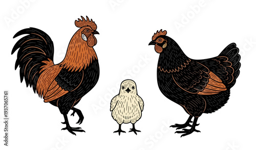 Illustration of a Rooster, Hen, and Chick in Stylized Design
