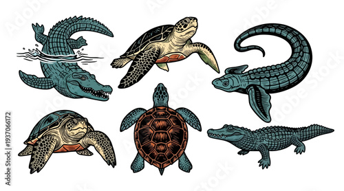 Detailed illustrations of turtles and crocodiles in various poses