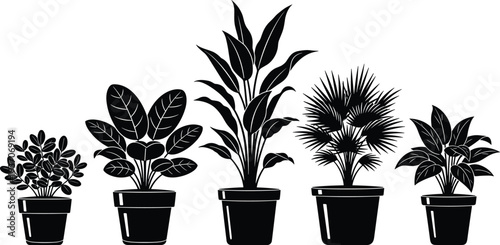Black silhouette collection of diverse potted houseplants and indoor greenery including a palm and bird of paradise on white background.