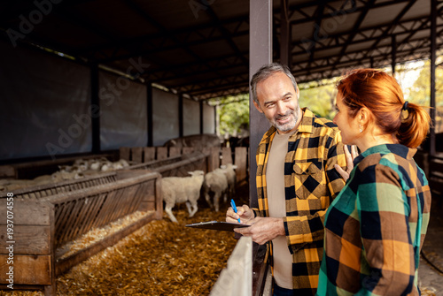 Male and female farmers working together on a sheep farm.