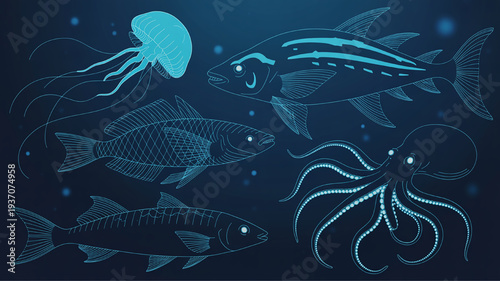 Collection of marine life illustrations including jellyfish octopus and fish in a minimalist x-ray style for oceanography or science concepts