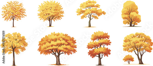 Collection of nine illustrated autumn trees with colorful foliage, seasonal nature design, fall landscape, environment art, deciduous diversity, botanical illustration