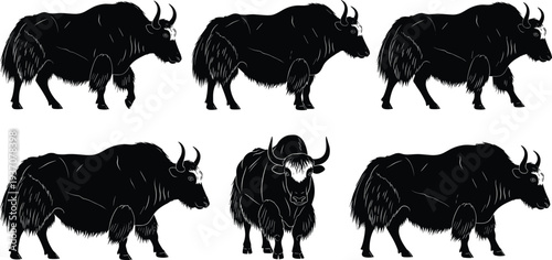 Collection of black yak silhouettes in various natural poses including walking, standing, and grazing isolated on a white background.