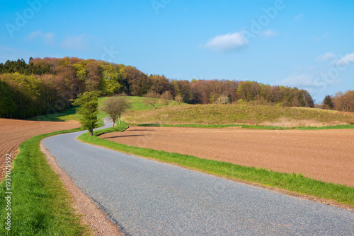 Country Road in Spring