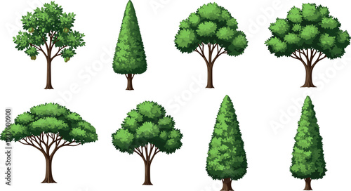 Set of realistic green tree illustrations with various leafy and conifer shapes isolated on white background for landscape design, environmental projects and nature themes
