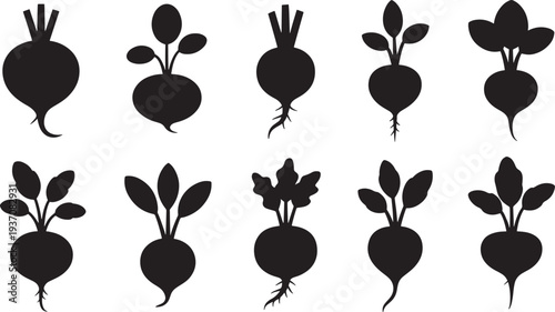 Black Silhouette of Beetroots with Leaves and Roots vegetable