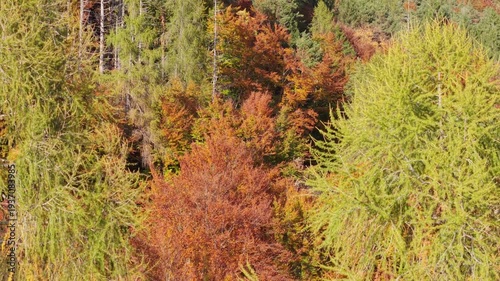 Autumn in Trentino