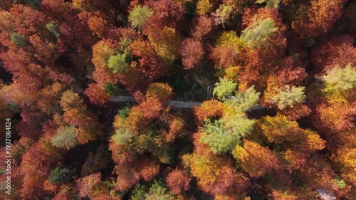 Autumn in Trentino
