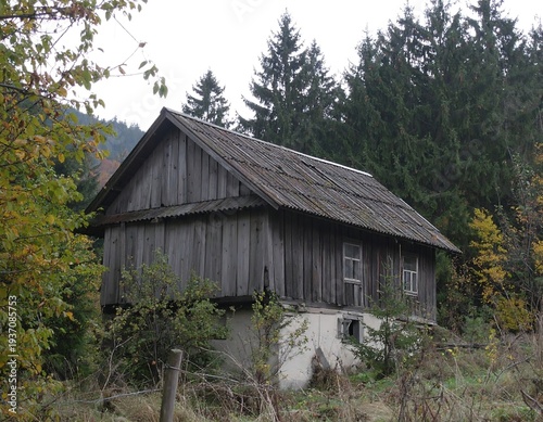 An aged, wooden structure with a dilapidated roof, nestled among trees, on an overcast day. Overgrown foliage surrounds the weathered building