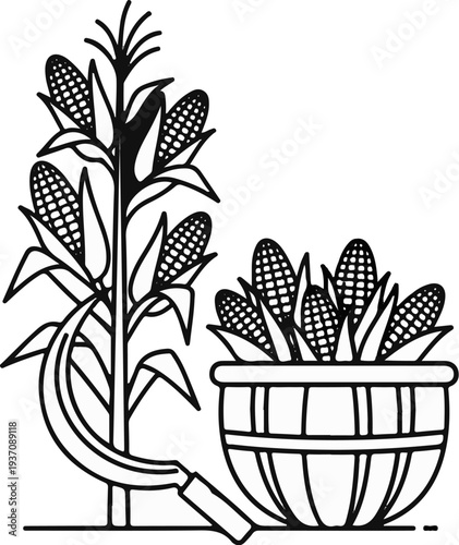 Ripe corn stalks stand tall, with a basket full and a sickle nearby