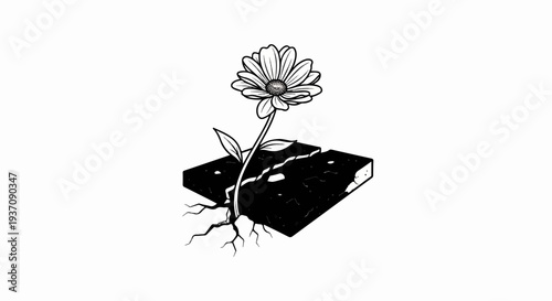 A single daisy with roots emerges from a cracked concrete block