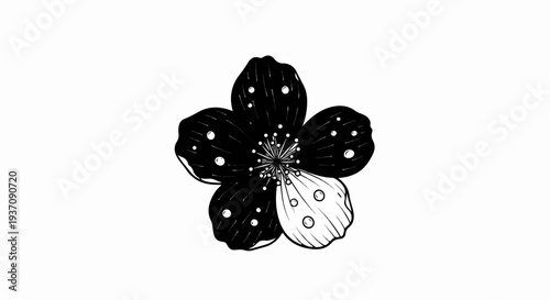 Hand-drawn black and white flower with water droplets on petals