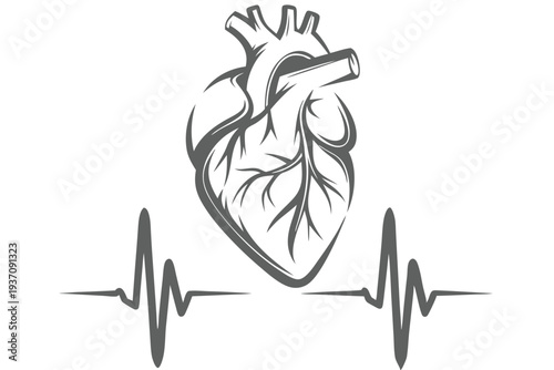 A monochrome human heart showing vein details is displayed with an EKG heartbeat