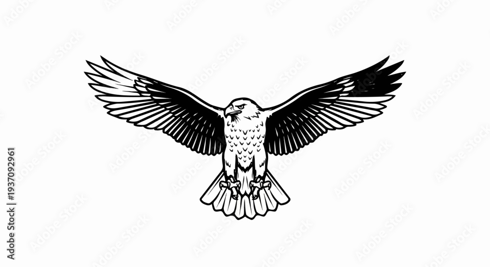 Obraz premium Black and white illustration of an eagle with outstretched wings