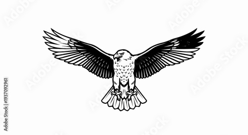 Black and white illustration of an eagle with outstretched wings