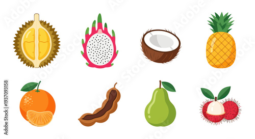 Various tropical fruit illustrations