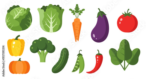 Vegetable assortment colorful fresh produce