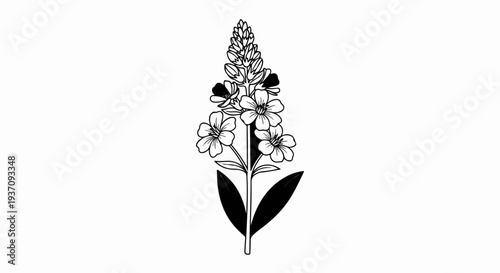 Delicate line art depicts a blooming botanical specimen with detailed petals
