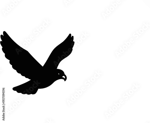 Silhouette of a raptor in flight, wings outstretched against white