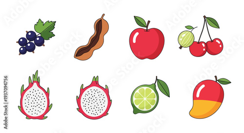 Variety of colorful fresh fruits illustration