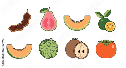 Variety of fresh tropical fruit slices