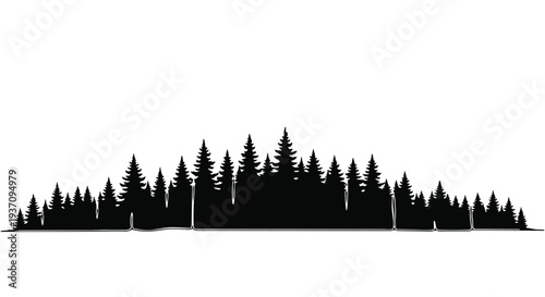 Black silhouette of a dense forest of pine trees