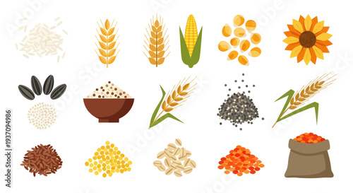 Variety of grains and seeds illustration