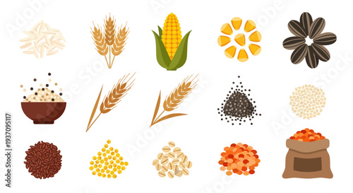 Various cereal grains and seeds illustration