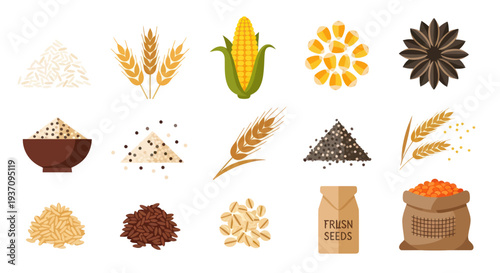 Various cereal grains and seeds illustration