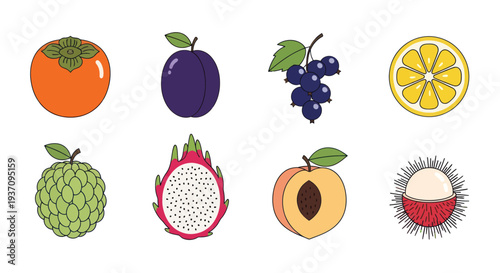 Various colorful fruit illustrations