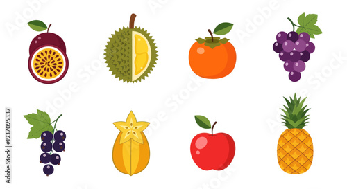 Various colorful tropical fruits illustration