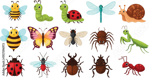 Cartoon Insects and Bugs Set with Bee Butterfly Dragonfly Ladybug Spider Ant Caterpillar Snail and Praying Mantis Vector Illustration