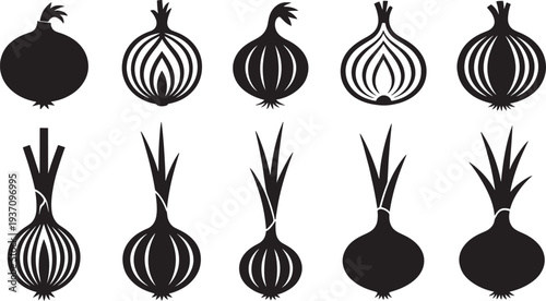 Ten black and white onion with different patterns and shapes vegetable
