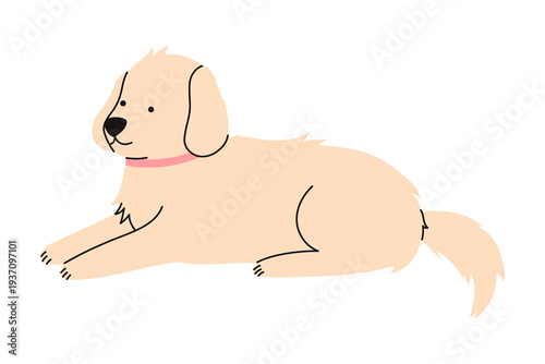 Light beige dog lying calmly isolated on white background. Domestic pet character for veterinary clinic branding, pet care advertising, and healthcare design projects. Flat vector illustration.