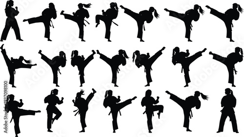 Collection of female martial artist silhouettes performing taekwondo and karate kicking techniques isolated on light background martial arts training, self defense and sport action concept