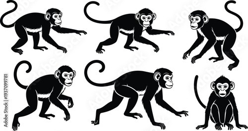 Detailed vector illustration of weeping willow and flowering yellow mimosa trees set on green grass patches for nature landscape design.