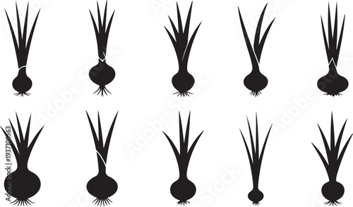Ten black silhouettes of onions with green tops on white background vegetable