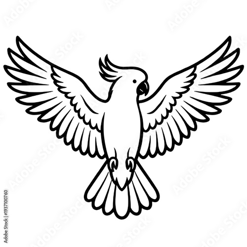 Beautiful macaw bird silhouette