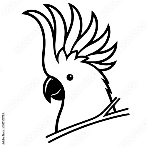 Beautiful macaw bird silhouette