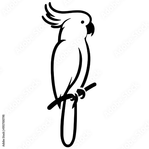 Beautiful macaw bird silhouette